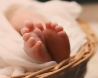 ग्रेटर नोएडा में कूड़े के ढेर में मिला सात माह का भ्रूण, डीएनए से तलाश होगी माता-पिता की जांच 