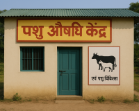 सहारनपुर में खुलेंगे कम लागत वाले पशु औषधि केन्द्र, पशुपालकों को मिलेगा बड़ा लाभ