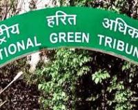 विद्युत विभाग की दबंगई पर एनजीटी दिल्ली का डंडा: शामली में हजारों पेड़ों को काटने पर तत्काल रोक!