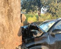 मध्य प्रदेश: श्योपुर में तेज रफ्तार कार पेड़ से टकराई, पूर्व मंत्री के भांजे की मौत