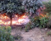 गुरुग्राम के बार गुर्जर में फिर भड़की आग, औद्योगिक कचरे में लगी आग