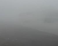 नोएडा: धुंध की चादर में लिपटा शहर, एक्सप्रेसवे समेत प्रमुख मार्गों पर रेंगते नजर आए वाहन,दृश्यता रही काफी कम