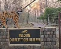 नए साल के जश्न से पहले कॉर्बेट पार्क में हाई अलर्ट, वनकर्मियों की छुट्टियां रद्द