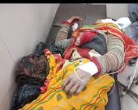 बहराइच में बाघ का आतंक: खेत साग तोड़ रही महिला पर हमला, गंभीर रूप से घायल; ग्रामीणों में दहशत