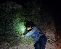 मेरठ: मुठभेड़ में 25 हजार के इनामी बदमाश शहजाद गिरफ्तार, पैर में लगी गोली