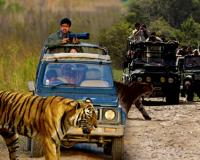 उच्च न्यायालय ने कार्बेट पार्क में जिप्सी रजिस्ट्रेशन के लिए बनी गाइडलाइन पर लगाई रोक