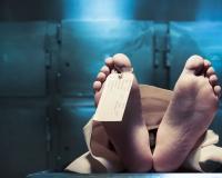 करनाल में रॉन्ग साइड से दौड़ता ट्रक बना मौत का कारण: बस को रौंदा, फिर कार-बाइक पर पलटकर चार जिंदगी खत्म