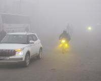 शामली में घना कोहरा और कड़ाके की ठंड, शीतलहर से जनजीवन बेहाल