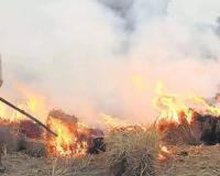 पराली जलाने पर सरकार का कड़ा प्रहार: तीन साल तक पंजीकरण ब्लॉक, किसानों से छिनेंगी सब्सिडी की सारी सुविधाएँ