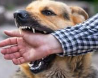 मेरठ में कार हटाने को लेकर हुए विवाद में सिपाही को पालतू कुत्ते से कटवाया, मामला दर्ज  