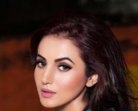 इंस्पेक्टर विक्रांत में अनुस्मृति सरकार का रहस्यमयी डबल रोल; दो किरदारों के बीच की 'अदृश्य जंग' से बढ़ा फिल्म का रोमांच