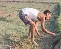 दिसंबर जनवरी में खेत की मेढ़ पर फलदार पौधे लगाएं और बनाएं सालों तक चलने वाली स्थायी कमाई