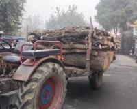 शामली में वन विभाग की शह पर हो रहा प्रतिबंधित वृक्षों का कटान, अधिकारी जानकर भी बने है अंजान 