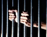 शिमला में चिट्टा नेटवर्क पर बड़ी चोट, दंपती व युवती सहित नौ तस्कर दबोचे