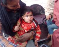 सहारनपुर के रामपुर मनिहारान गांव नाई नगली में कुत्तों के हमले में दो बच्चे गंभीर रूप से घायल