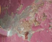 शामली में बनत कस्बा में पशु व्यापारियों के बीच झगड़ा, फायरिंग व पत्थरबाजी