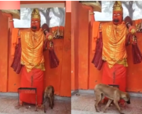 आस्था या चमत्कार ? 36 घंटे से हनुमान जी की परिक्रमा करता रहा कुत्ता, गांव में हैरानी