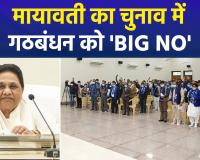 मायावती का 70वें जन्मदिन पर 'महा-ऐलान': 2027 में अकेले चुनाव लड़ेगी बसपा; गठबंधन को 'ना', ब्राह्मणों को 'हाँ'