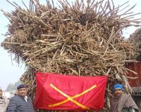 शामली: राष्ट्रीय सड़क सुरक्षा माह के तहत यातायात पुलिस ने चलाया विशेष अभियान