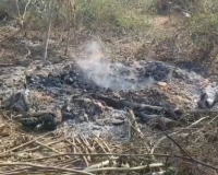 कासगंज में 'ऑनर किलिंग' से सनसनी: प्रेमी संग लौटी किशोरी की हत्या कर शव जलाया, पुलिस ने जलती चिता बुझाकर निकाले अवशेष