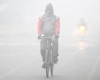 एनसीआर में प्रदूषण और कड़ाके की ठंड की दोहरी मार, जहरीली हवा में सांस लेने को मजबूर लोग 