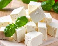 सर्दियों में पनीर का सेवन हड्डियों के लिए वरदान, जोड़ों के दर्द की संभावना हो जाती है कम
