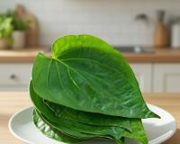 तला-भुना खाना सेहत को पहुंचा रहा नुकसान? पान का पत्ता पाचन तंत्र को कर सकता है मजबूत