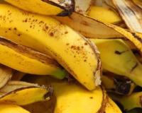 पोषक तत्वों से भरपूर केले का छिलका, सेहत के लिए वरदान 