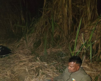 मेरठ पुलिस ने गौकशी रोकने के लिए अभियान चलाया, 7 गिरफ्तार और 3 घायल