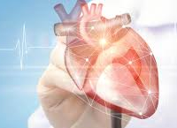 मेरठ मेडिकल कॉलेज: डॉ मुनेश तोमर ने बच्चों में जन्मजात हृदय दोष और उनके लक्षणों पर दी जानकारी