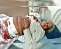 मेरठ में आवारा  गौवंश के हमले से वृद्धा की मौत, ग्रामीणों में आक्रोश