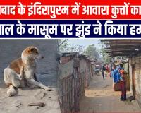गाजियाबाद के इंदिरापुरम में आवारा कुत्तों का आतंक, 4 साल के मासूम पर झुंड ने किया हमला
