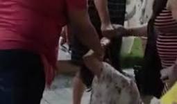 नोएडा PG में गुंडागर्दी! युवती से मारपीट का वीडियो वायरल | सेक्टर 62 का बड़ा खुलासा