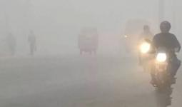 नारनौल फिर बना सीजन का सबसे ठंडा शहर: शीतलहर की चपेट में हरियाणा, तापमान में तेज गिरावट