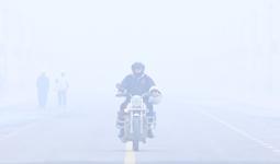 घने कोहरे और प्रदूषण की दोहरी मार: दिल्ली-एनसीआर में हालात बेहद गंभीर, एक्यूआई ‘अति-गंभीर’ श्रेणी में