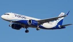 दिल्ली एयरपोर्ट पर उड़ानों में देरी और रद्द होने से यात्रियों को परेशानी, इंडिगो CEO बोले- समय पर उड़ानें शुरू करना मुश्किल