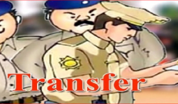 नोएडा पुलिस आयुक्त ने कई थाना प्रभारियों के तबादले किए, कानून व्यवस्था मजबूत करने के प्रयास