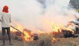 पराली जलाने पर सरकार का कड़ा प्रहार: तीन साल तक पंजीकरण ब्लॉक, किसानों से छिनेंगी सब्सिडी की सारी सुविधाएँ
