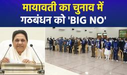 मायावती का 70वें जन्मदिन पर 'महा-ऐलान': 2027 में अकेले चुनाव लड़ेगी बसपा; गठबंधन को 'ना', ब्राह्मणों को 'हाँ'