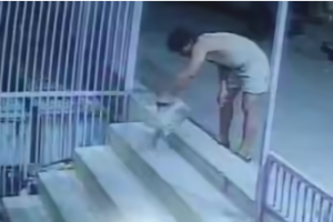 बुलंदशहर में ईर्ष्या की हद: पड़ोसी दुकान में रोज छोड़ता था चूहा, CCTV फुटेज देखकर दुकानदार हैरान