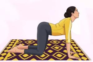 कमर, गर्दन और कंधों के दर्द से परेशान? मार्जरी-बिटिलासन है समाधान