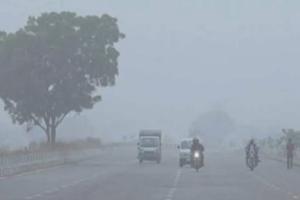 शीतलहर ने बढ़ाई पंजाब की ठिठुरन: फरीदकोट में न्यूनतम तापमान 4°C से भी नीचे, छह जिलों में येलो अलर्ट जारी-अगले हफ्ते और बढ़ेगी सर्दी