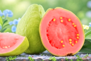 सर्दियों में अमरूद खाने के अद्भुत फायदे: दिल रहेगा मजबूत, शुगर और वजन रहेगा कंट्रोल