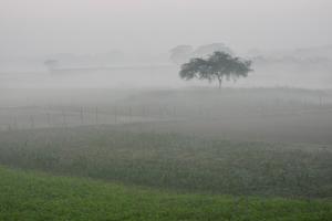 सर्द हवाओं से कांपा मध्‍य प्रदेश, कोहरा और कड़ाके की ठंड जारी, 11 शहरों में दिन का पारा 20 डिग्री से नीचे