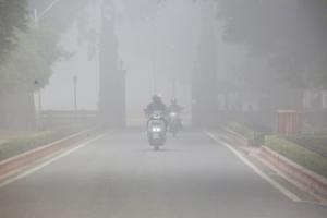 दिल्ली प्रदूषण : कार्यालयों में आधे कर्मचारी ही आएंगे, अन्य को वर्क फ्रॉम होम का निर्देश