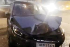 फरीदाबाद में स्कूल बस समेत कई वाहन टकराए, चालक जख्मी