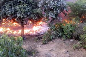 गुरुग्राम के बार गुर्जर में फिर भड़की आग, औद्योगिक कचरे में लगी आग