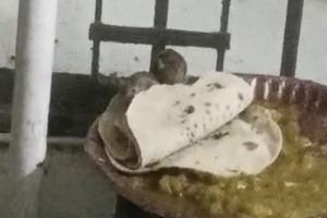 बिजनौर मेडिकल अस्पताल में लापरवाही: वायरल वीडियो में मरीजों का खाना चूहों ने चट किया, डीएम ने तलब किए अधिकारी