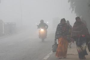 मध्य प्रदेश में शीतलहर और कोहरे का कहर: न्यूनतम तापमान में भारी गिरावट, ट्रेनें लेट