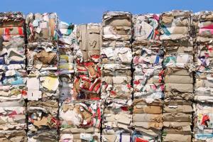 एग्जिम रूट्स की स्टॉक मार्केट में एंट्री, प्रीमियम लिस्टिंग के बाद लोअर सर्किट का झटका